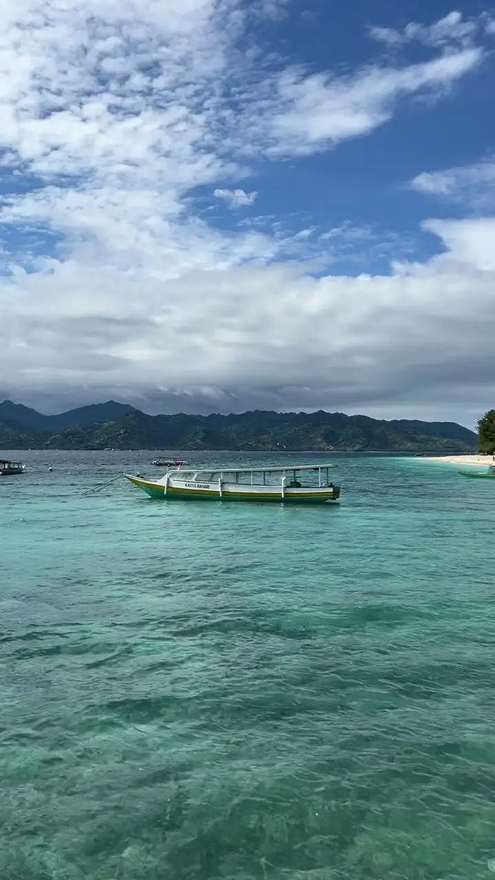 18097932-hd_1080_1920_60fps.mp4