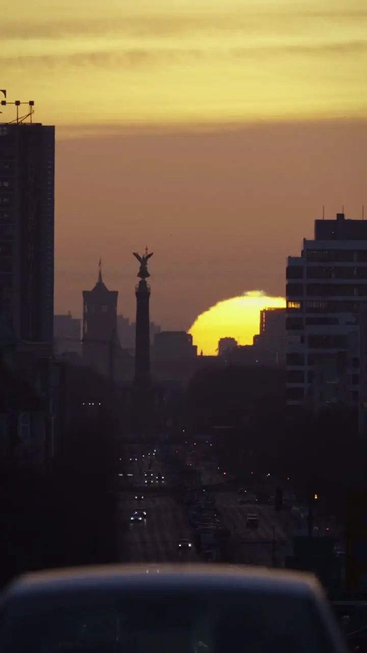 15602627_1080_1920_30fps.mp4