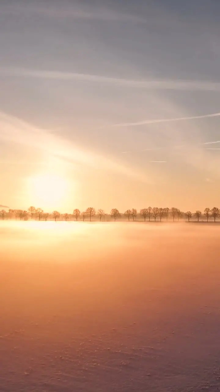 15247894_1080_1920_30fps (1).mp4