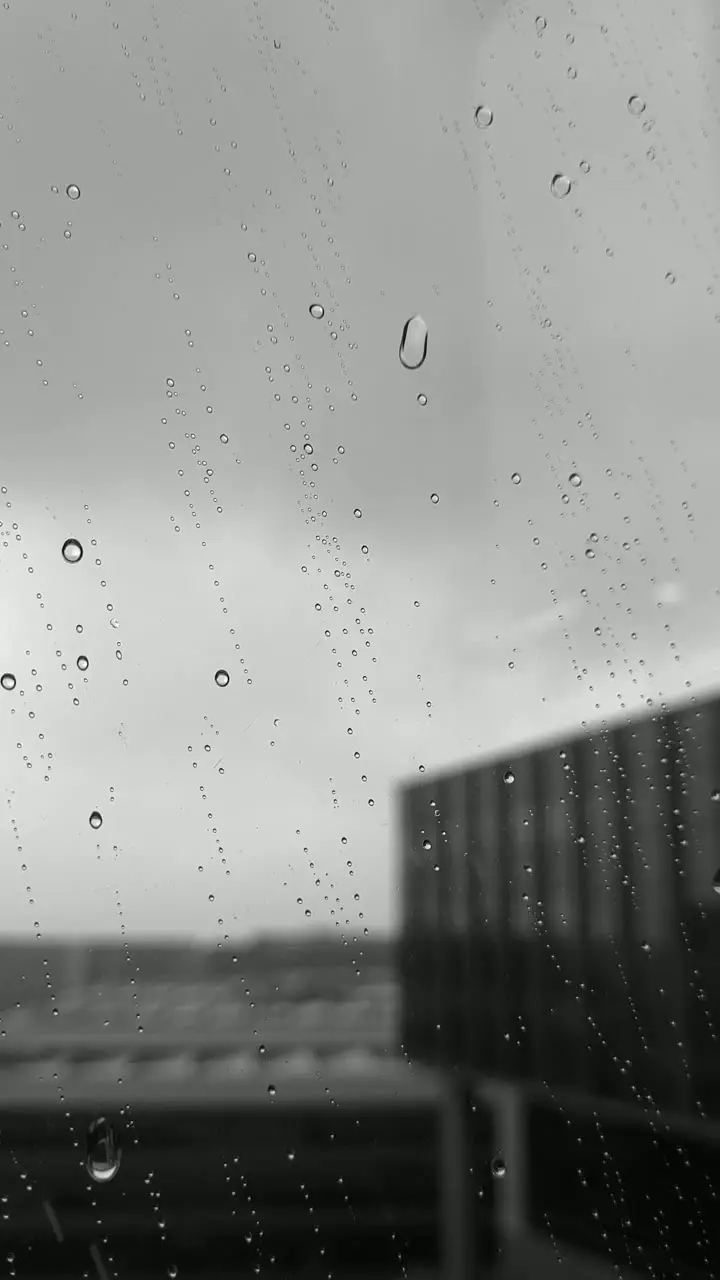 16937191_2160_3840_24fps.mp4