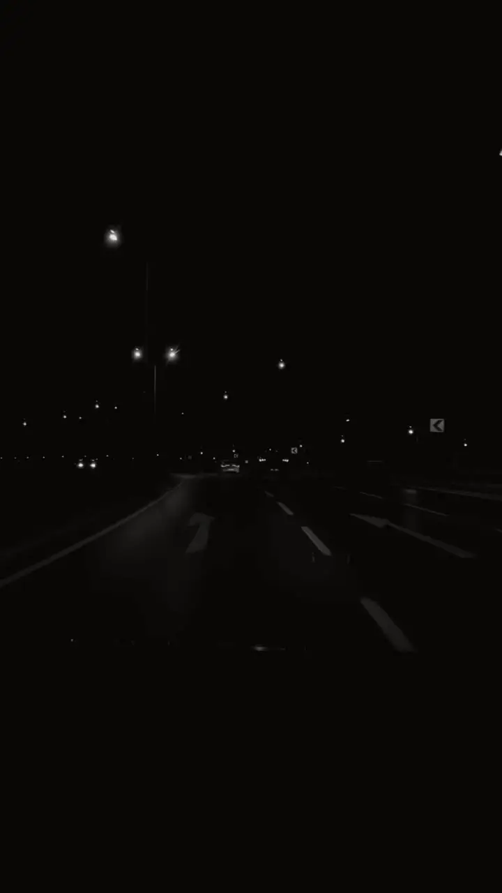 15518254_2160_3840_30fps.mp4