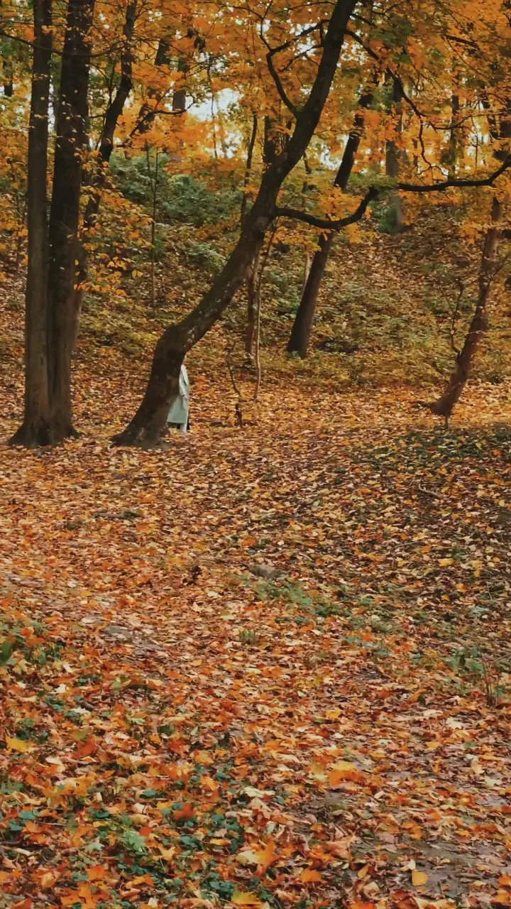 11587639-uhd_2160_3840_60fps.mp4