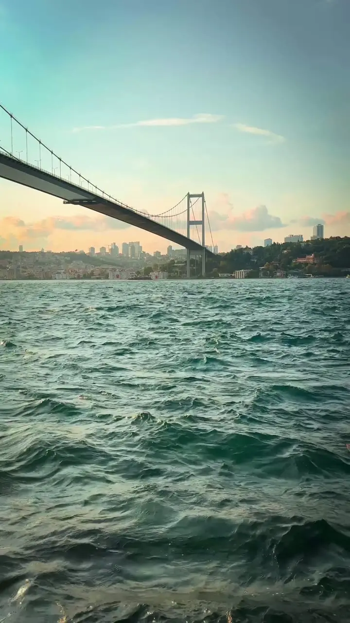 14943801_2160_3840_30fps.mp4