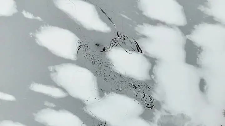 15219520_3840_2160_60fps (1).mp4