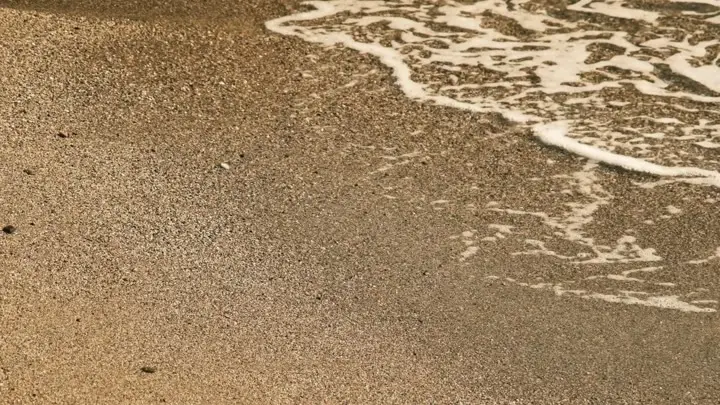 16543157_1920_1080_60fps.mp4