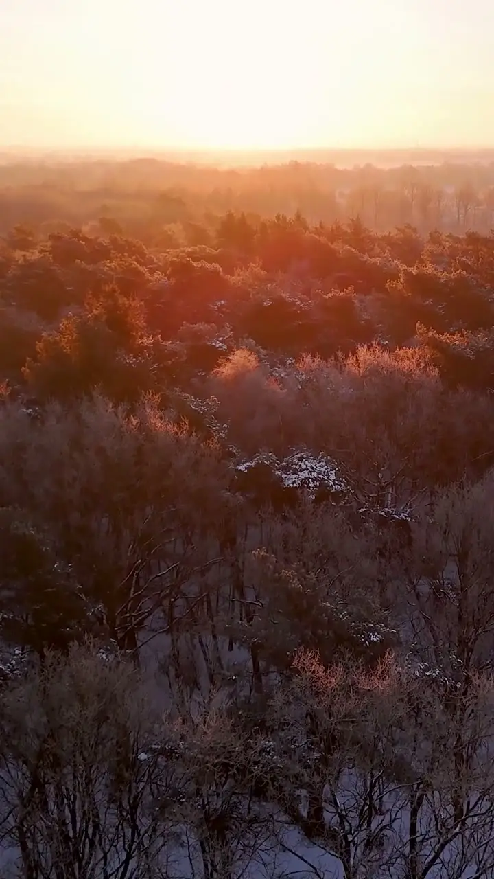 15247873_1080_1920_30fps.mp4