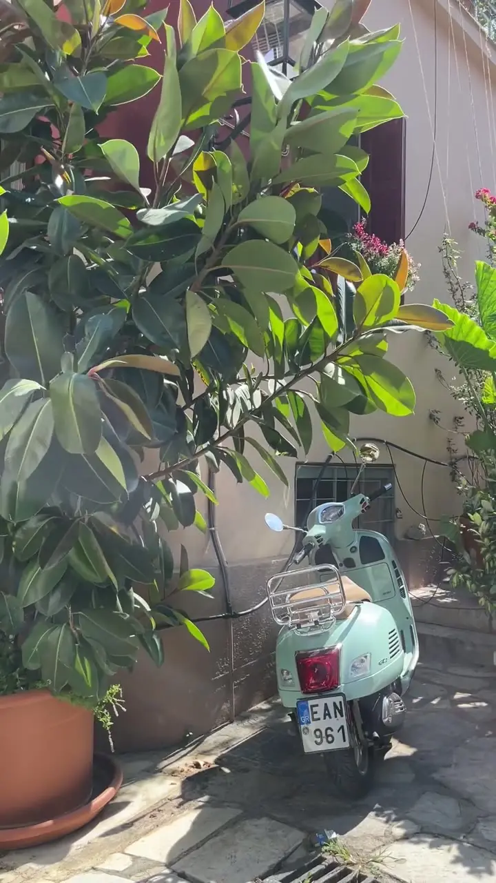 18096939-hd_1080_1920_60fps.mp4